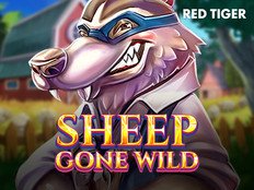 Sheep Gone Wild